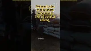 melayani order media tanam arang sekam. lokasi pagade