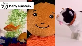 Language Nursery Compilation | Baby Einstein Classics | Learning Show for Toddlers | Kids Music