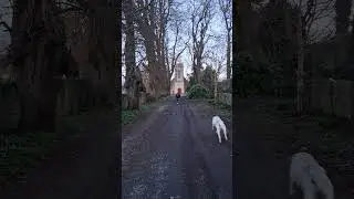 #ireland #church#running #ruins #explore #explorepage #forest #old #runner #song #music#reels#shorts