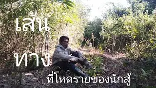 เส้นทาง