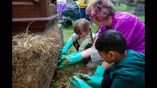 Outside the Lines with artist Brigid Teehan - Clonmel Applefest 2022