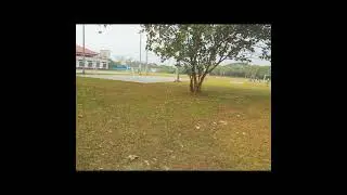 Tezpur University | Glimpse | Campus View | #shorts #travel #university #campus #youtubeshorts #view