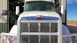 NexGen - The Future of Feed Alternatives