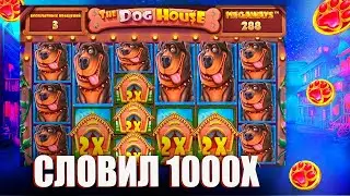 СЛОВИЛ МЕГА ЗАНОС В СПИНЕ В THE DOG HOUSE MEGAWAYS / ЧТО ТВОРЯТ СОБАКИ??? ( ЗАНОСЫ НЕДЕЛИ )