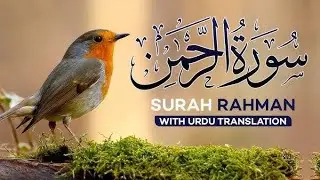 Surah Rahman Full | By Qari Abdul Rahim With Urdu and English Translation (HD) |✨✨| beautiful voice 