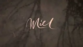 Miel de Botton - Forest Prayer (For Our Times) Lyric Video