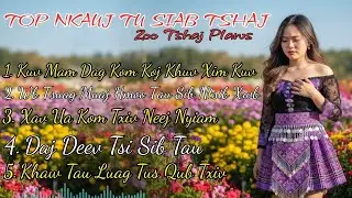 Top 5 Zaj Nkauj Tu Siab Zoo Heev (Cover) Hmong EDM Music #nkaujkhosiab