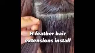H6 Feather Hair Extensions #hairextensions H6 Feather hair extensions # 008615303752982