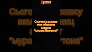 Мураха Ленгтона #coding #пайтон #python #пітон #kivy #ant #мурахи