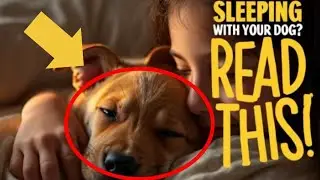 What Happens to Your Body When You Sleep with Your Dog Every Night?