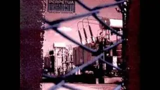 Perpetua - Irrational - Same Questions