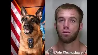 Ocala Florida police dash cam high speed chase k9 bites car thief Dale Shrewsbury