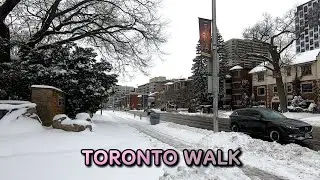 🇨🇦 Toronto Snow Walk - High Park