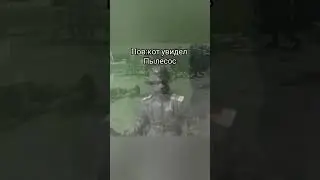 гений на видео смотри,а не на название #мем