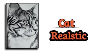 Realistic Cat drawing with charcoal pencils only
