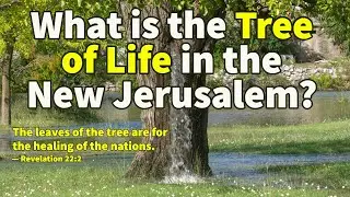 What is the Tree of Life in New Jerusalem? (Revelation 22:2)