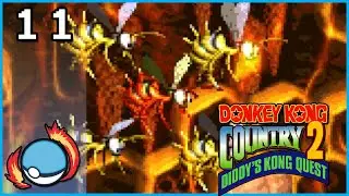 Now ain't this just Bee-utiful? | Donkey Kong Country 2 - Diddy's Kong Quest | Part 11