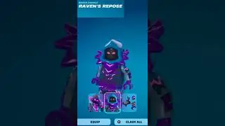 Fortnite Lego Storm-Wild Raven Starter Pack!