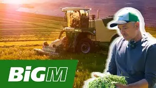 LU Kees &ndash; 300 Hektar in 3 Tagen mit dem KRONE BiG M