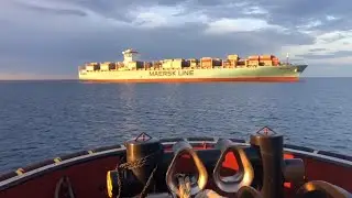 L'attracco della super portacontainer Maersk Genoa a Vado Ligure