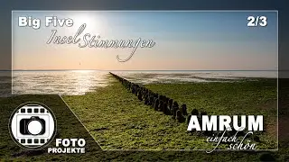 4K - BIG FIVE der „AMRUM STIMMUNGEN“ - Die tollsten Naturschauspiele der Nordseeinsel.