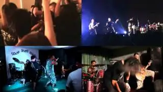 Wynken Delirium - Operation Ginger (Official Music Video)