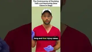 Why We Dock Tails & Remove Dew Claws
