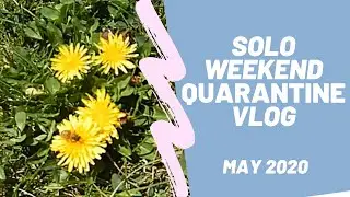 Solo Weekend in Quarantine | Vlog | Marlow York