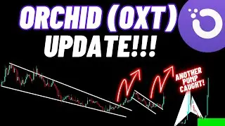 Orchid OXT Crypto Coin Update!