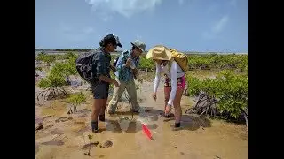 Drones Make 3-D Maps of Microbial Mats