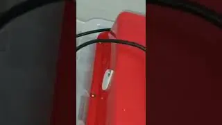 30 eggs automatic incubator