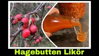 Hagebuttenlik&ouml;r Rezept | Lik&ouml;r aus Hagebutten selber machen | Selbstversorgung