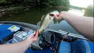 Early Fall Bass Fishing | Falls Lake, NC