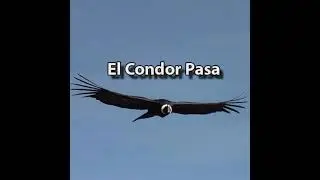 El Condor Pasa WWW.VERGAMARIANO.IT