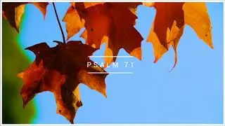 Psalm 71 Biblia warszawska
