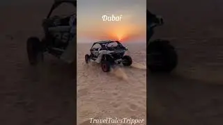 Dubai's Hidden Beauty: Desert Expedition