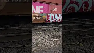 East Bound intermodal train hitting West Chicago ￼diamond #railway #train #railroad #unionpacific