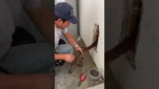 How disgusting🤢
