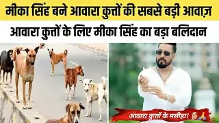 Mika Singh donates 10 acres of land for stray dogs, appeals to the Supreme Court