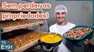 Como fazer pó de açafrão da terra em casa