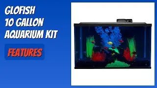 REVIEW (2026): GloFish 10 Gallon Aquarium Kit. Features