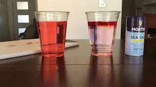 DOES ICE MELT FASTER IN SALT WATER OR TAP WATER??? HMM...
