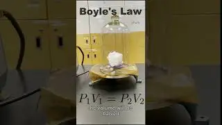 Объяснение закона о совместном газе!