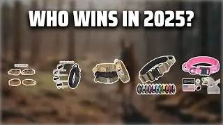 The Top 5 Best Tactical Dog Collars in 2025 - Must Watch Before Buying!