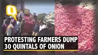 Two Farmers Dump 30 Quintals of Onion on Road to Protest