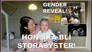 GENDER REVEAL! Vi ska bli tvåbarnsföräldrar!