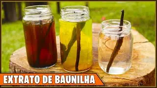 COMO FAZER SEU PRÓPRIO EXTRATO DE BAUNILHA