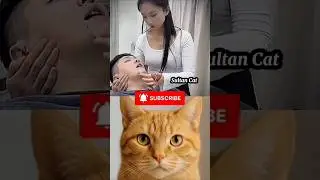 That look tho #21 😒⁉️#cat#meme#funny#trending#viralcat#dance#catvideo