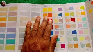 Halo paint l JSW paint Shade panorama l 48+  color shade card