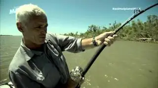 Asesino Silencioso - Monstruos R&iacute;o - Parte 2